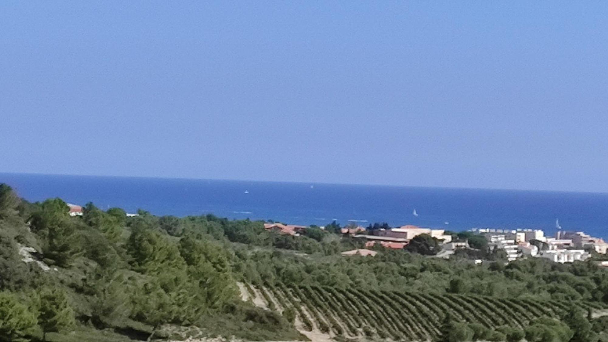 36 2 L'Air Marin Maison Duplex Grande Terrasse Narbonne Dış mekan fotoğraf